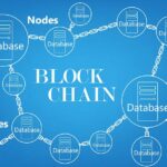 working of blockchain and nodes