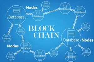 working of blockchain and nodes